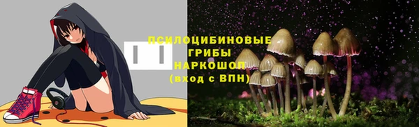 круглые Алзамай